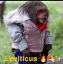 leviticus